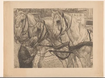 Stallbursche