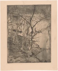 Kahle Bäume am Wasser