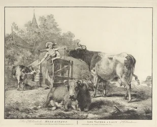Kühe und eine Milchmagd