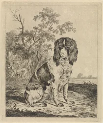 Sitzender Vorstehhund