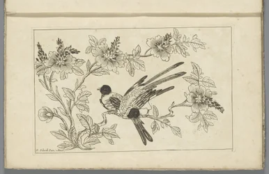 Zwei Vögel auf einem Blütenzweig
Chinesische Blumen und Vögel (Serientitel)