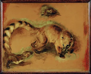 Ein Nasenbär und ein kleines Nagetier