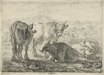 Drei Rinder und ein schlafender Hirte