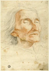 Gesicht eines alten Mannes mit geschlossenen Augen