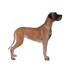 Deutsche Dogge, 2011