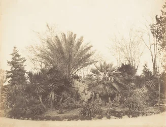 Pincian Garten, Rom, 1853-56