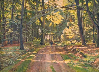 Waldweg bei Dyrnæs