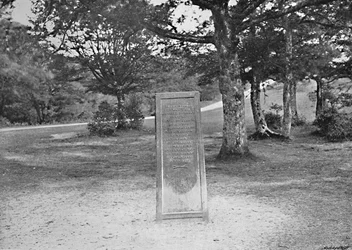 Rufus Stone, New Forest