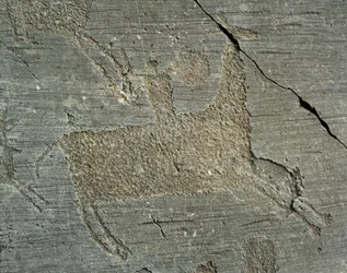 Vorgeschichte, Camunni-Zivilisation, Felskunst: Grabfelsen, der einen Krieger zu Pferd mit einem Schild darstellt. Zeitraum zwischen dem Neolithikum und der Bronzezeit. Capo di Ponte, Nationalpark der Felszeichnungen von Naquane, Valcamonica, Italien