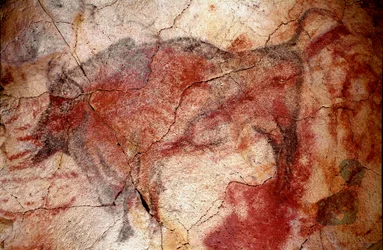 Vorgeschichte: „Bison in Ruhe“ Felsmalerei des Oberen Paläolithikums (Magdalénien) (zwischen 16500 und 14000 Jahren) Bisonhöhle, Altamira, Santander, Spanien