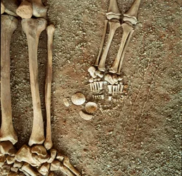 Vorgeschichte: Doppelbestattung von Erwachsenen und Kindern. Detailansicht der Grabausstattung zu Füßen des Kindes: drei Eichhörnchenschwänze, Muscheln und Steine aus der Höhle Arene Candide in Finale Ligure, Ligurien. Mesolithikum, 7000-6000 v. Chr.