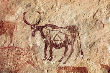 Felsmalerei: Darstellung eines Hirsches. Höhle von Tadrart Acacus, Libyen