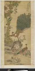 Pfau