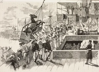 Maultier wird auf das Schiff Principe Amedeo verladen, italienische Expedition im Roten Meer, Italien (Stich)