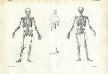 Menschliches Wesen, 1863-79