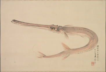 Nadelhecht