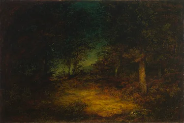 Waldinneres