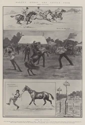 Barnet Pferde- und Viehmarkt