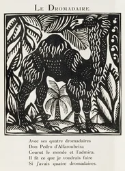 Das Dromedar, Illustration aus 
