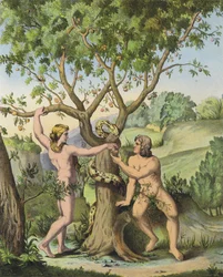 Eva überreicht Adam den Apfel vom Baum der Erkenntnis von Gut und Böse (Farblithografie)