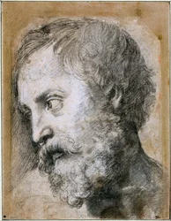 Kopf eines Apostels, Studie für die Verklärung, 1519-1520