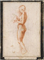 Junge weibliche Figur im Profil, ca. 1517
