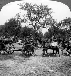 Pferdegezogene Artillerie, Erster Weltkrieg, 1914-1918