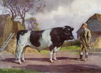 Illustration für Meine Farm