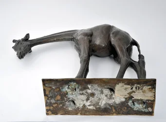 Große Giraffe mit gesenktem Kopf