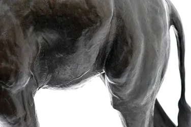 Große Giraffe mit gesenktem Kopf