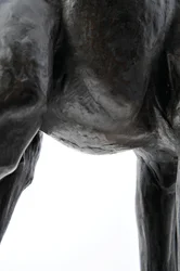 Große Giraffe mit gesenktem Kopf, modelliert 1909-10, gegossen vor 1913