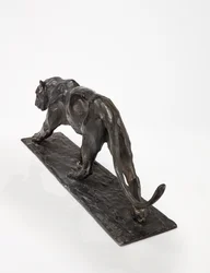 Panther im Gehen, Hinterbein erhoben