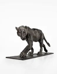 Panther im Gehen, Hinterbein erhoben, ca. 1904