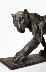 Panther im Gehen, Hinterbein erhoben, ca. 1904