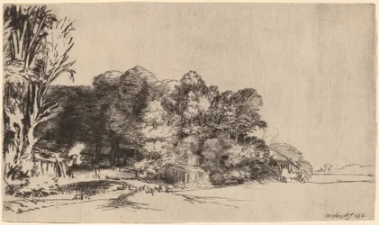 Baumgruppe mit Aussicht