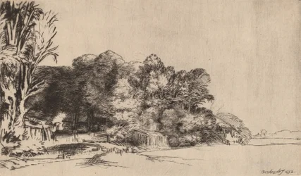Baumgruppe mit Aussicht