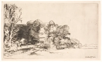 Baumgruppe mit Aussicht