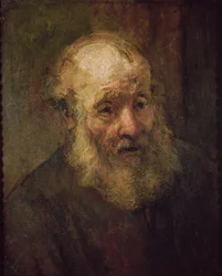 Kopf eines alten Mannes, um 1650