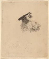 Alter Mann, der seine Augen mit der Hand beschattet