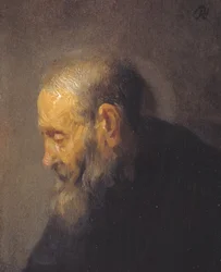 Studie eines alten Mannes im Profil