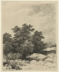 Landschaft mit Bäumen