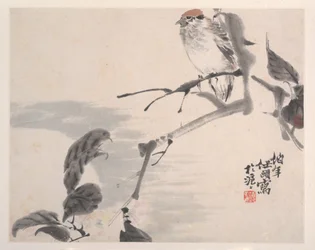 Tiere, Blumen und Vögel