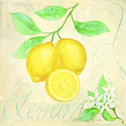 Frische Zitronen Botanisch