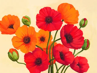 Rot-orangefarbene Mohnblumen