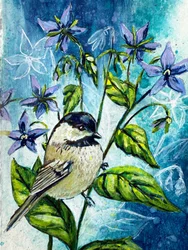 Blauer Gartenmeise