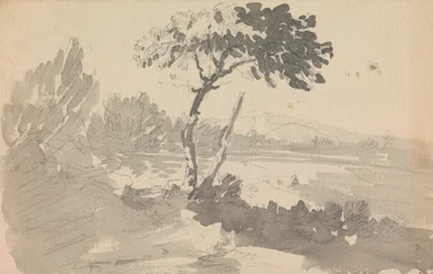 Baum und See