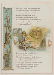 Seite aus Upstream von Richard Andre; Evolution