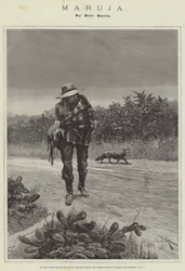 Maruja, von Bret Harte