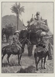 Unsere Truppen in Birma, berittene Infanterie mit Gepäckelefanten überquert die Shan-Hügel