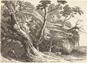 Landschaft mit großen Bäumen